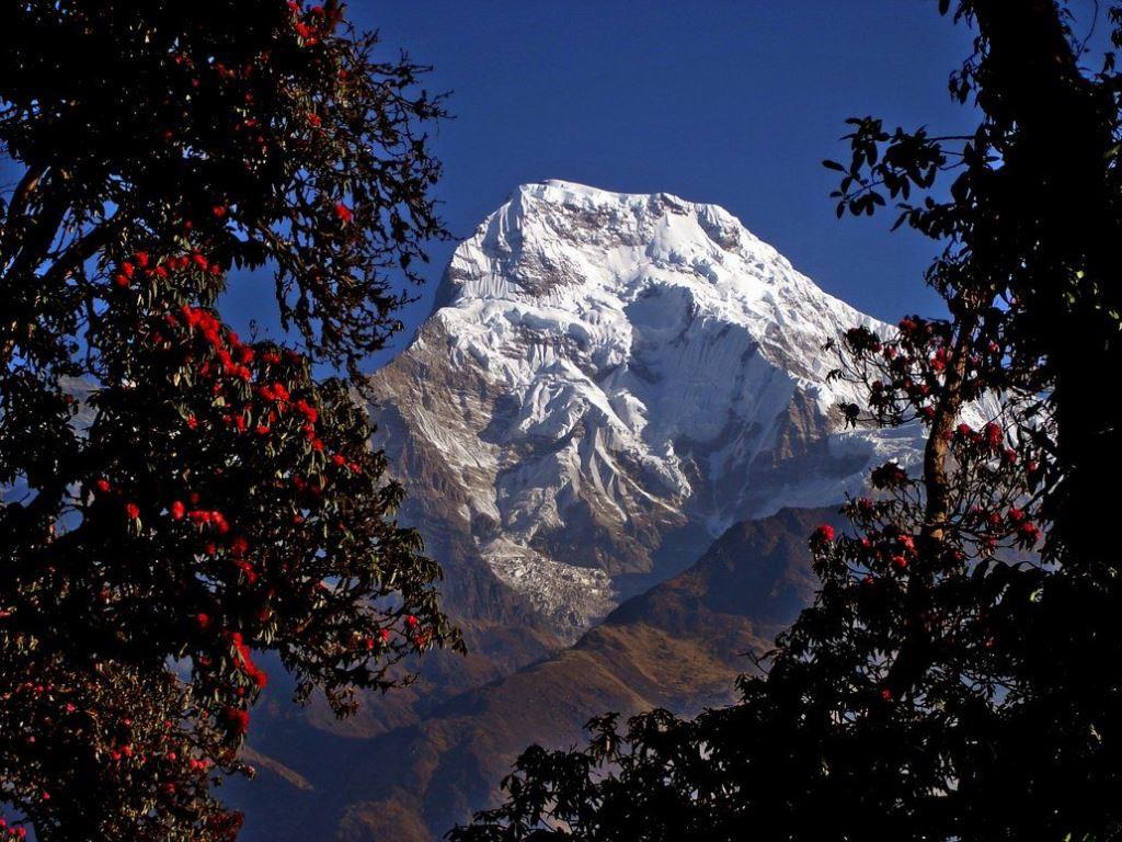 Mount Dhaulagiri Trek